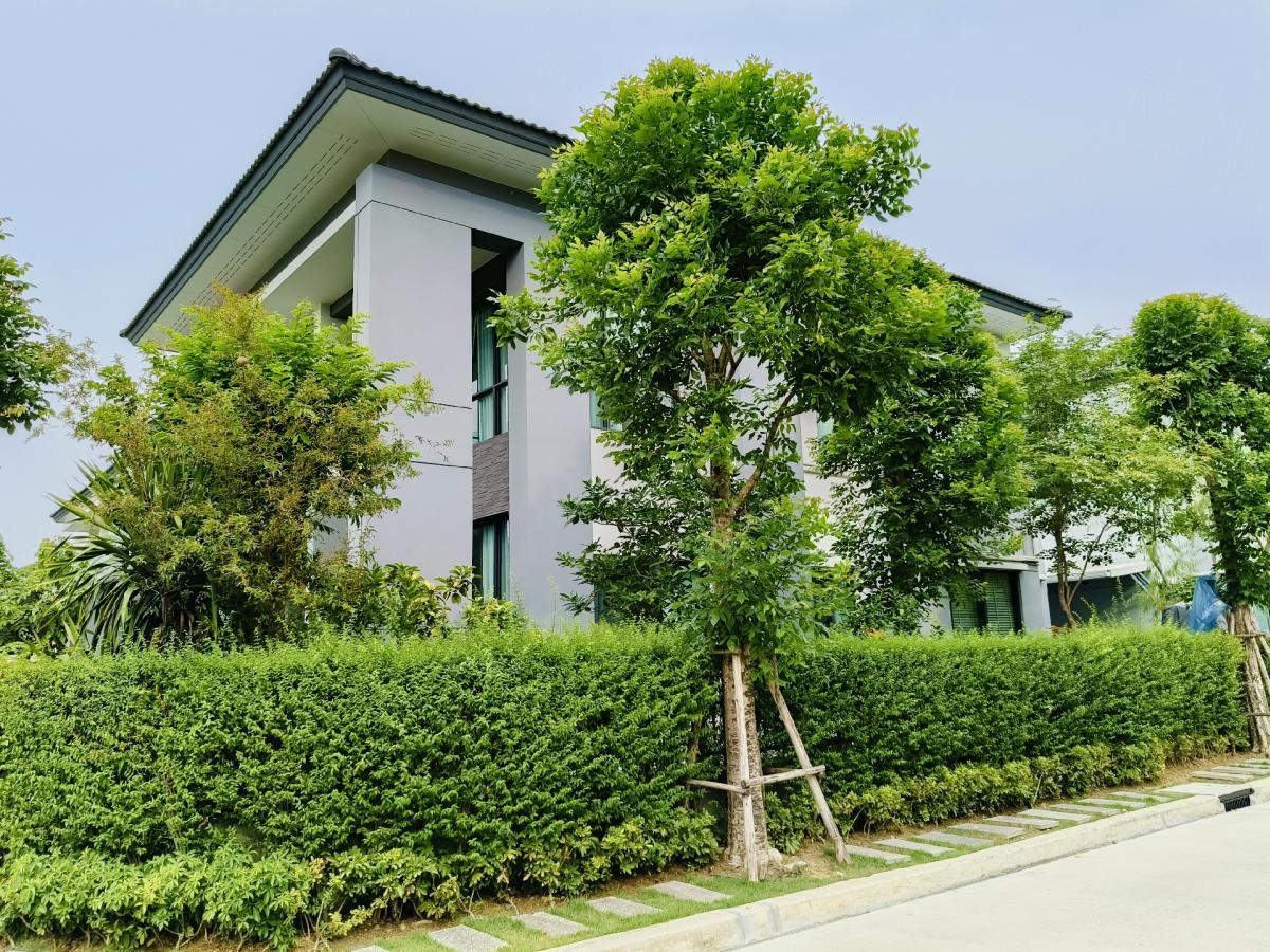 For SaleHousePhutthamonthon, Salaya : For Sale 19.9 M Single house for sale, special price 📣 Only 19.9 million baht left 📌 With many free gifts! Contact us now...