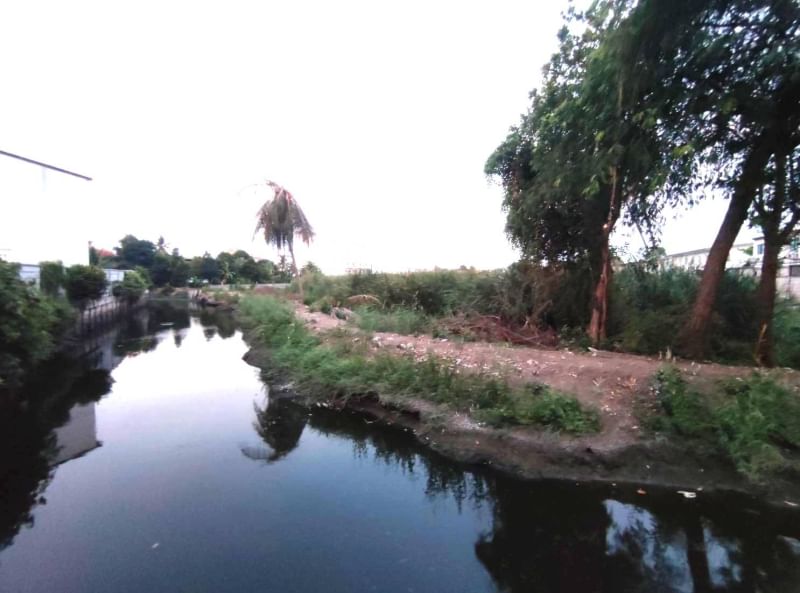 ขายที่ดินนนทบุรี บางใหญ่ บางบัวทอง : ขาย ที่ดิน 12 ไร่ 2 งาน 66 ตารางวา ซ.กันตนา ต.บางม่วง อ.บางใหญ่ จ.นนทบุรี ถนนทางเข้ากว้าง 15.5 เมตร