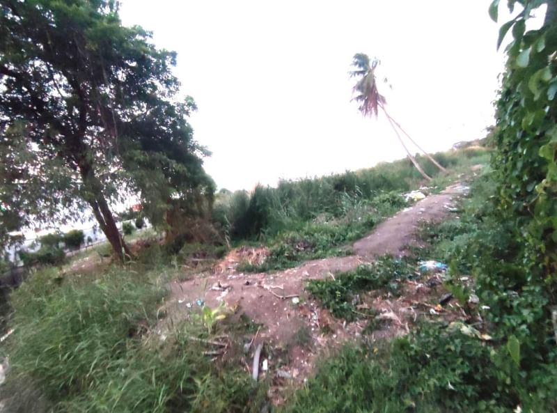 ขายที่ดินนนทบุรี บางใหญ่ บางบัวทอง : ขาย ที่ดิน 12 ไร่ 2 งาน 66 ตารางวา ซ.กันตนา ต.บางม่วง อ.บางใหญ่ จ.นนทบุรี ถนนทางเข้ากว้าง 15.5 เมตร