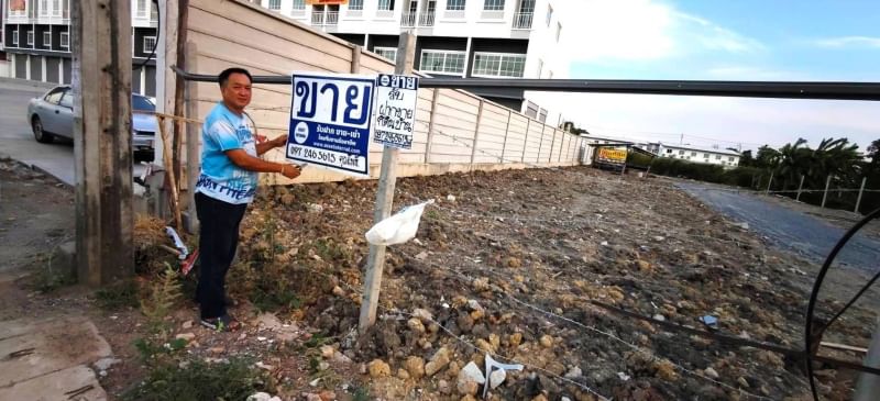 ขายที่ดินนนทบุรี บางใหญ่ บางบัวทอง : ขาย ที่ดิน 12 ไร่ 2 งาน 66 ตารางวา ซ.กันตนา ต.บางม่วง อ.บางใหญ่ จ.นนทบุรี ถนนทางเข้ากว้าง 15.5 เมตร