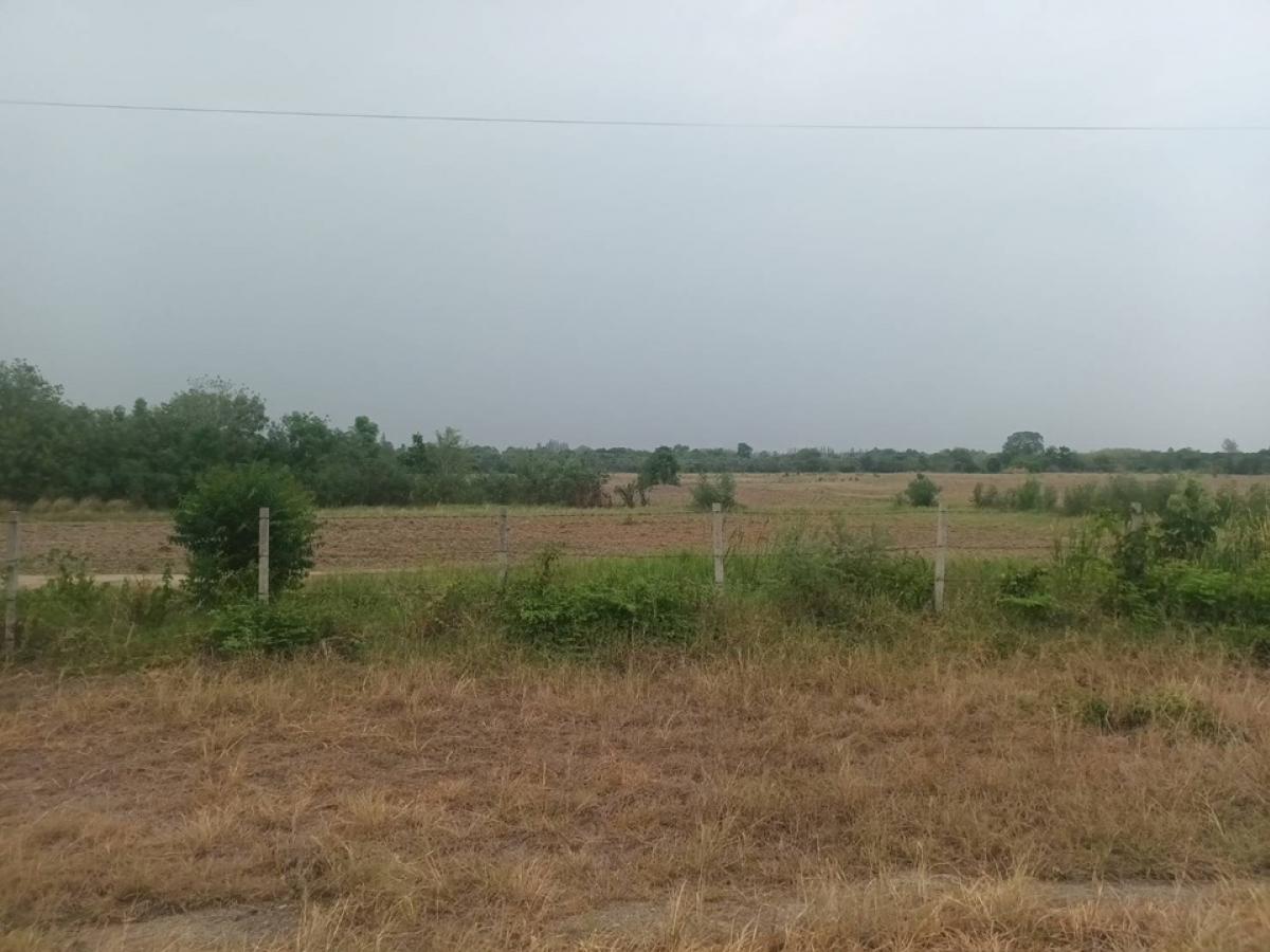 ขายที่ดินโคราช นครราชสีมา : 📢👇ขาย ที่ แปลงใหญ่ มีโฉนด ใกล้ โบนันซ่า เขาใหญ่