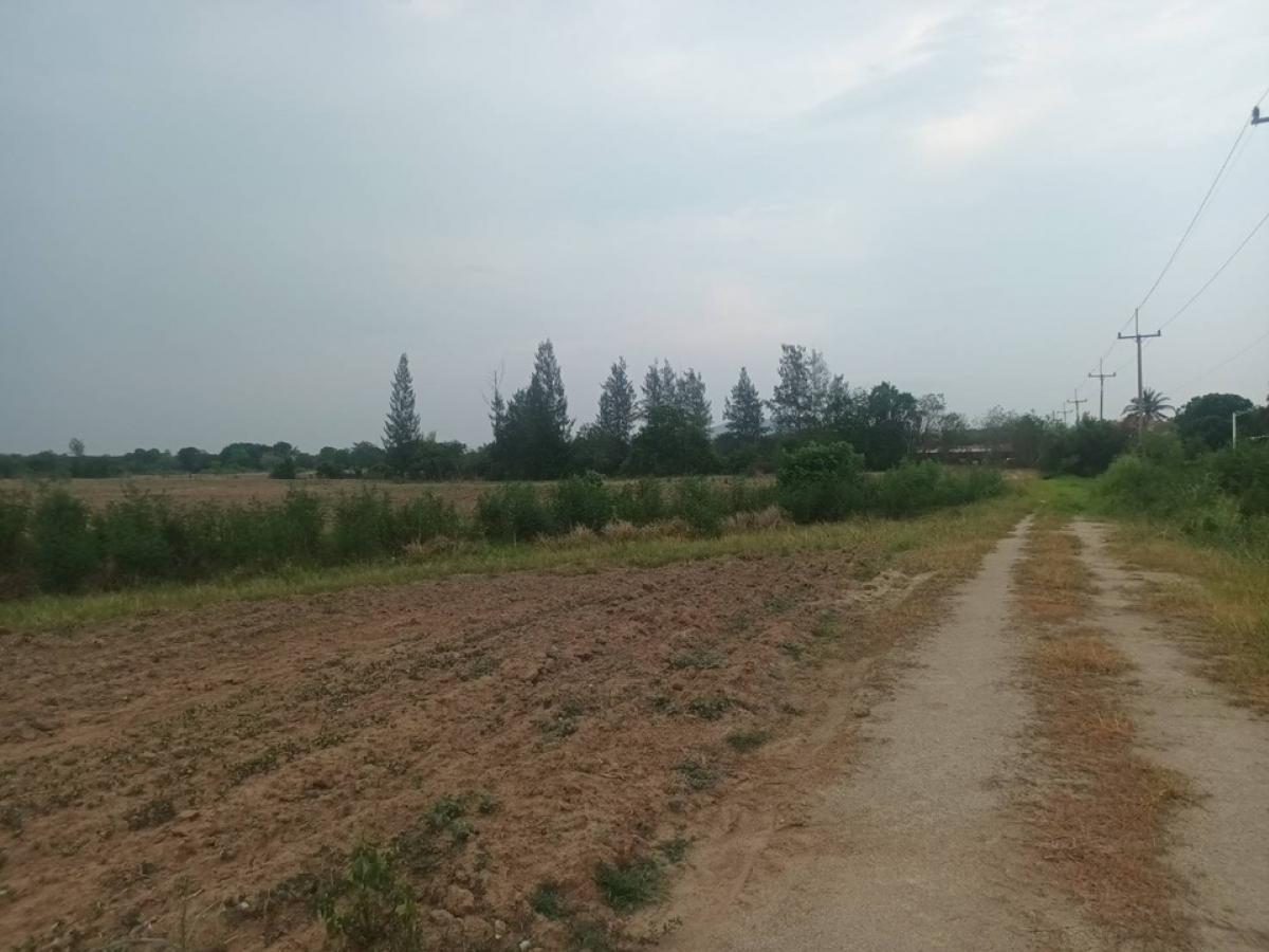 ขายที่ดินโคราช นครราชสีมา : 📢👇ขาย ที่ แปลงใหญ่ มีโฉนด ใกล้ โบนันซ่า เขาใหญ่