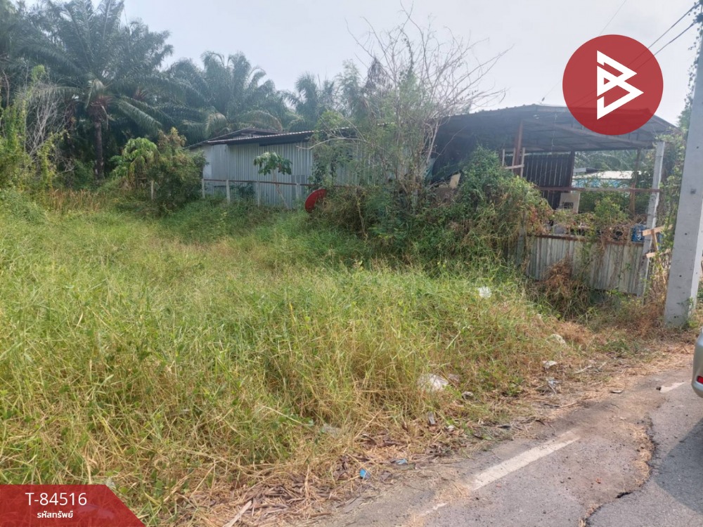 For SaleLandPathum Thani,Rangsit, Thammasat : Empty land for sale, area 90 square meters, Nong Suea, Pathum Thani.