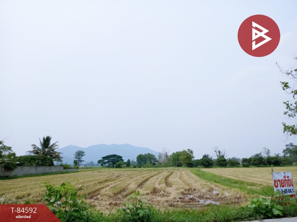 For SaleLandChiang Rai : Empty land for sale, 3 rai 3 ngan 85 square wah, Thoeng District, Chiang Rai.