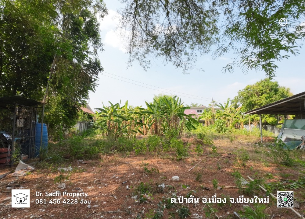 ขายที่ดินเชียงใหม่ : ขายที่ดิน 247.9 ตรว. แก้วนวรัฐ ซ.6 ใกล้เซ็นทรัลเชียงใหม่