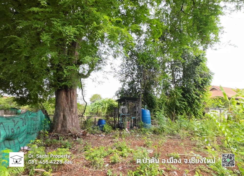 ขายที่ดินเชียงใหม่ : ขายที่ดิน 247.9 ตรว. แก้วนวรัฐ ซ.6 ใกล้เซ็นทรัลเชียงใหม่