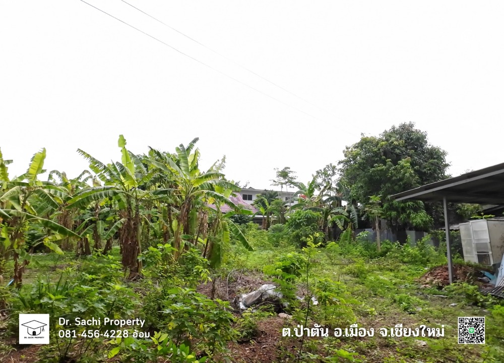 ขายที่ดินเชียงใหม่ : ขายที่ดิน 247.9 ตรว. แก้วนวรัฐ ซ.6 ใกล้เซ็นทรัลเชียงใหม่