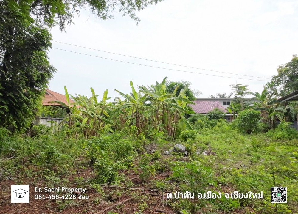 ขายที่ดินเชียงใหม่ : ขายที่ดิน 247.9 ตรว. แก้วนวรัฐ ซ.6 ใกล้เซ็นทรัลเชียงใหม่