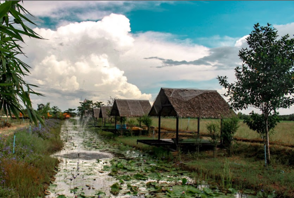 ให้เช่าที่ดินปทุมธานี รังสิต ธรรมศาสตร์ : NH01 - ปล่อยเช่าที่ดินย่านปทุมธานี
