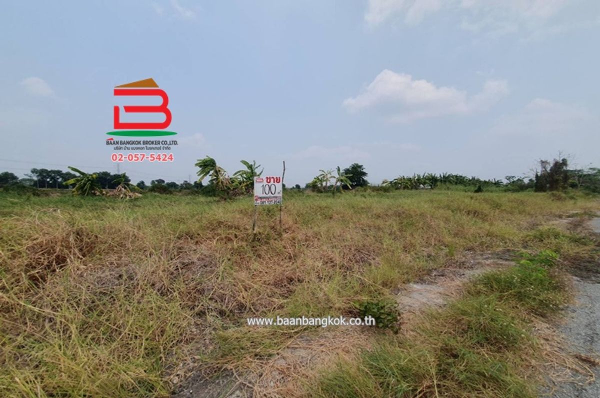 ขายที่ดินปทุมธานี รังสิต ธรรมศาสตร์ : ที่ดินเปล่า (3 แปลง) หลังสถานีอนามัยบึงชำอ้อ คลองแปด เนื้อที่ 300 ตรว. ถนนรังสิต-นครนายก ตำบลบึงชำอ้อ อำเภอหนองเสือ จังหวัดปทุมธานี