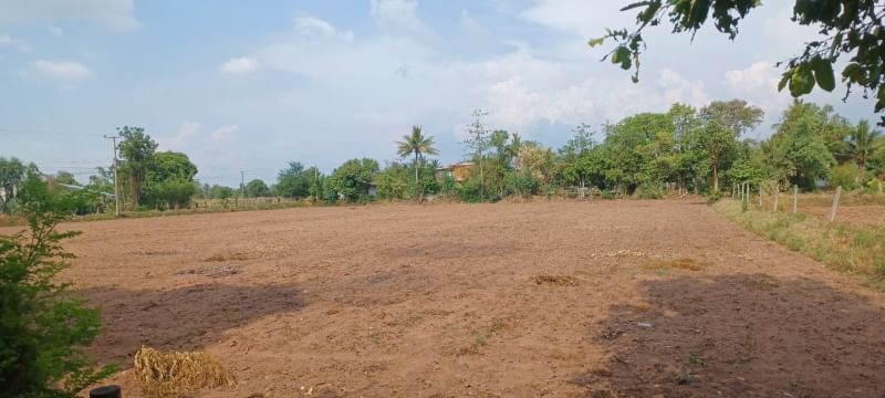 For SaleLandKhon Kaen : Land for sale, 3 rai, only 10 meters from road 2301, beautiful plot, already filled, Samrong Subdistrict, Nong Song Hong District, Khon Kaen Province.