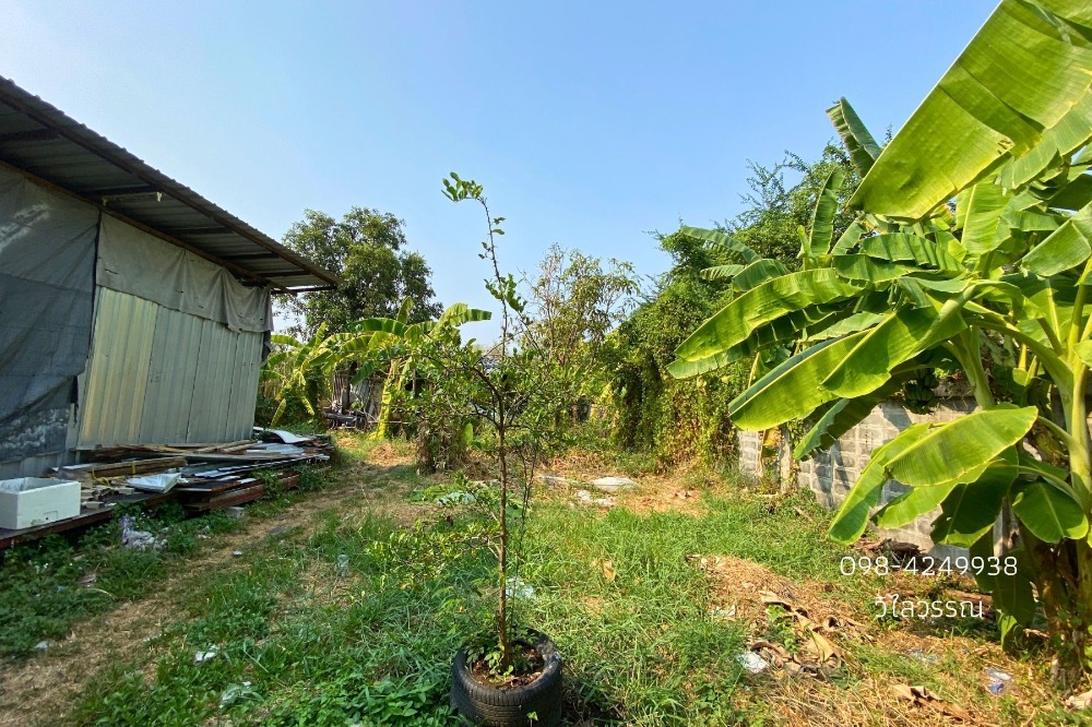 For SaleLandChaengwatana, Muangthong : Land for sale, 1 ngan, 81 square wah, Chaengwattana - Pak Kret Soi 28, behind Central Chaengwattana, Pak Kret District, Nonthaburi Province.