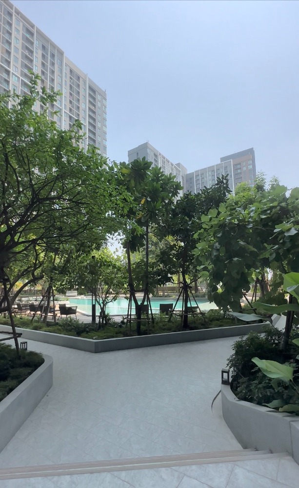 For RentCondoBang kae, Phetkasem : Brand New Condo with Spectacular Open View!  Parkland Phetkasem 56 For Rent