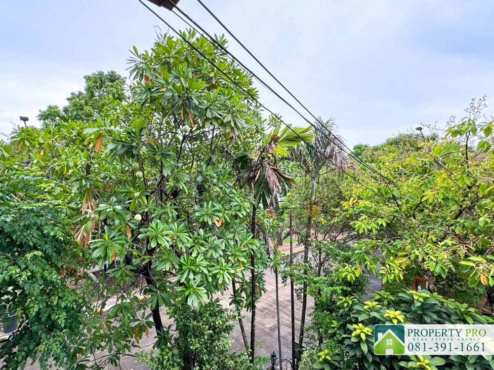 ขายบ้านนวมินทร์ รามอินทรา : ขาย บ้านแมกไม้ เพิ่มสิน ออเงิน วัชรพล บ้านเดี่ยว 2 ชั้น หลังมุม แบบ 2 ห้องนอน 75 ตรว 250 ตรม ใกล้ บิ๊กซี สุขาภิบาล 5 ตลาดเพิ่มสิน สายไหม เพลินนารี่ มอลล์ โรงเรียนรัตนโกสินทร์สมโภชบางเขน ทางด่วนฉลองรัช : KT24S-007