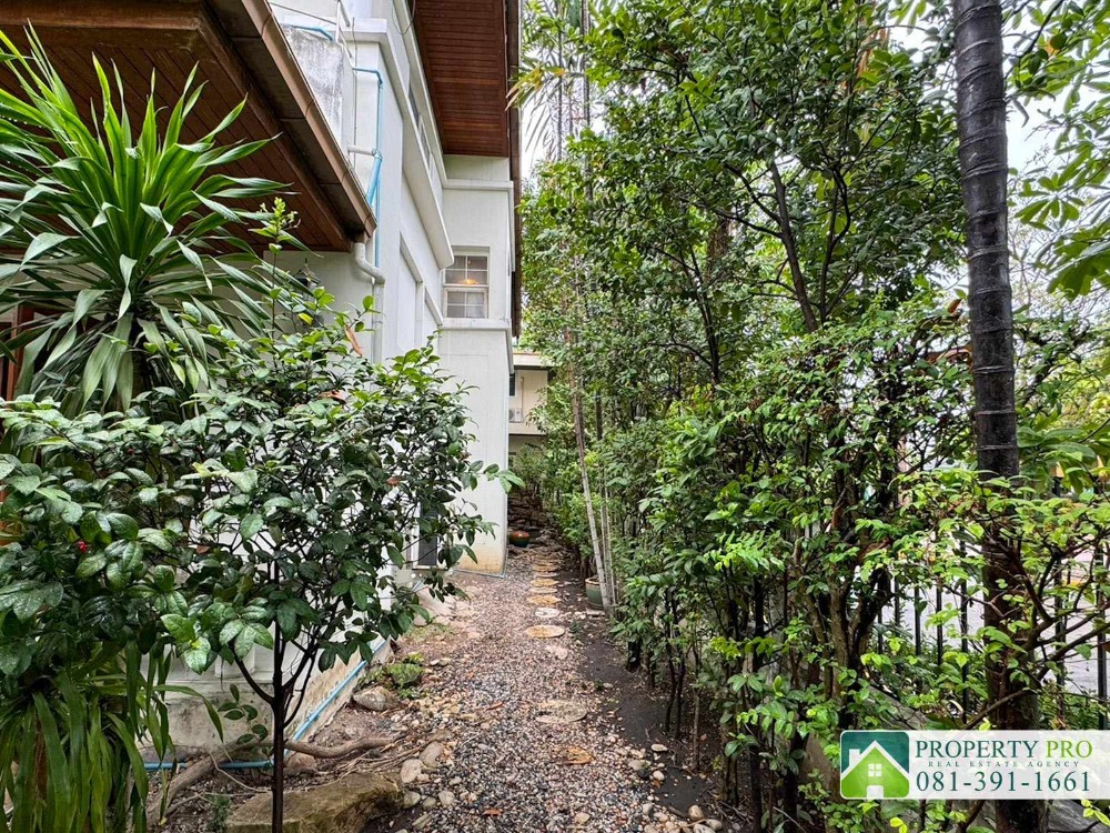 ขายบ้านนวมินทร์ รามอินทรา : ขาย บ้านแมกไม้ เพิ่มสิน ออเงิน วัชรพล บ้านเดี่ยว 2 ชั้น หลังมุม แบบ 2 ห้องนอน 75 ตรว 250 ตรม ใกล้ บิ๊กซี สุขาภิบาล 5 ตลาดเพิ่มสิน สายไหม เพลินนารี่ มอลล์ โรงเรียนรัตนโกสินทร์สมโภชบางเขน ทางด่วนฉลองรัช : KT24S-007