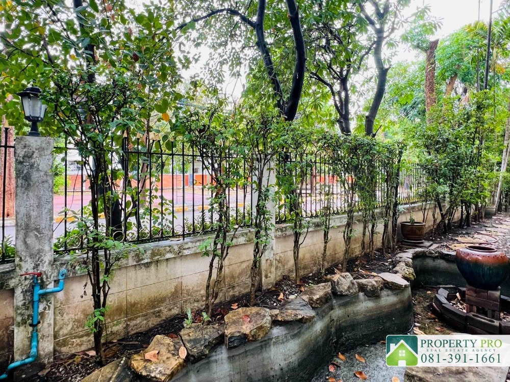 ขายบ้านนวมินทร์ รามอินทรา : ขาย บ้านแมกไม้ เพิ่มสิน ออเงิน วัชรพล บ้านเดี่ยว 2 ชั้น หลังมุม แบบ 2 ห้องนอน 75 ตรว 250 ตรม ใกล้ บิ๊กซี สุขาภิบาล 5 ตลาดเพิ่มสิน สายไหม เพลินนารี่ มอลล์ โรงเรียนรัตนโกสินทร์สมโภชบางเขน ทางด่วนฉลองรัช : KT24S-007