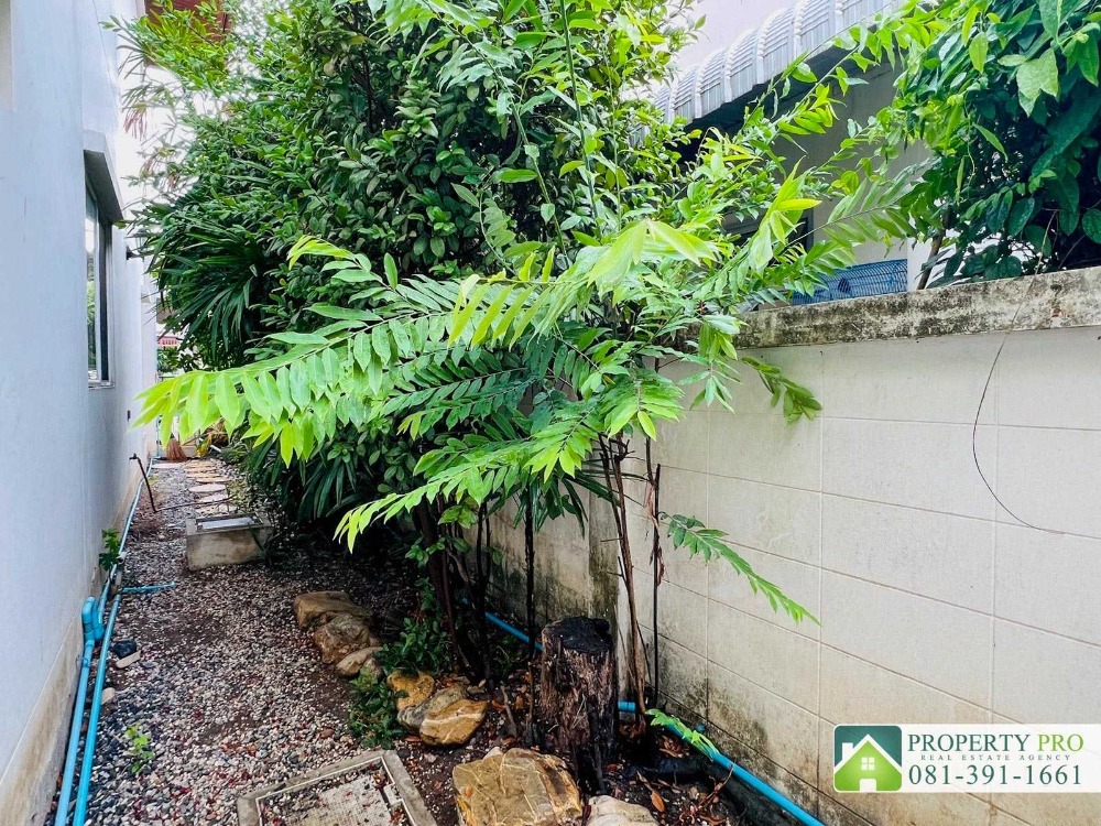 ขายบ้านนวมินทร์ รามอินทรา : ขาย บ้านแมกไม้ เพิ่มสิน ออเงิน วัชรพล บ้านเดี่ยว 2 ชั้น หลังมุม แบบ 2 ห้องนอน 75 ตรว 250 ตรม ใกล้ บิ๊กซี สุขาภิบาล 5 ตลาดเพิ่มสิน สายไหม เพลินนารี่ มอลล์ โรงเรียนรัตนโกสินทร์สมโภชบางเขน ทางด่วนฉลองรัช : KT24S-007