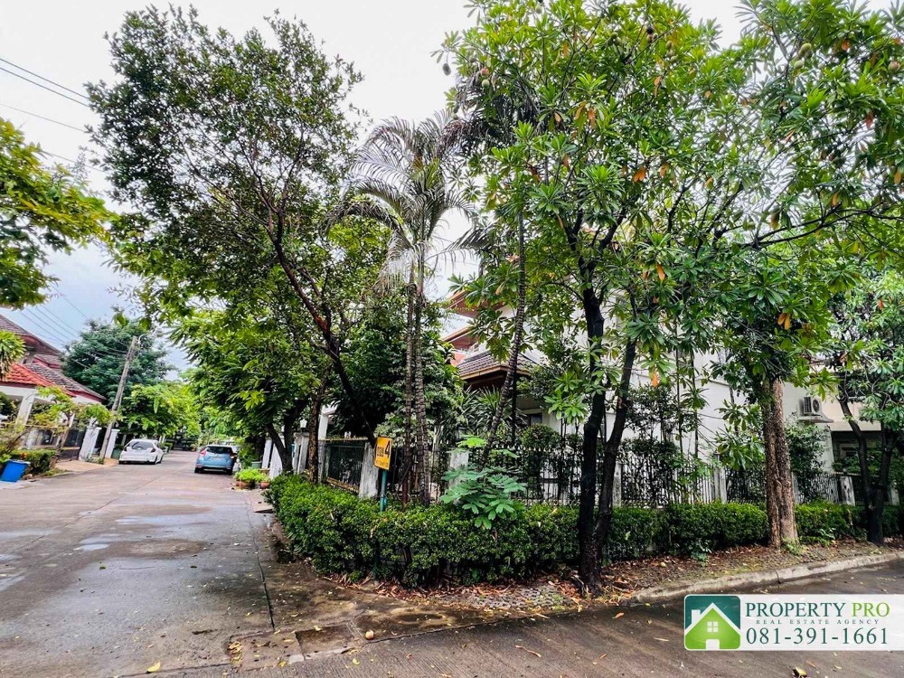 ขายบ้านนวมินทร์ รามอินทรา : ขาย บ้านแมกไม้ เพิ่มสิน ออเงิน วัชรพล บ้านเดี่ยว 2 ชั้น หลังมุม แบบ 2 ห้องนอน 75 ตรว 250 ตรม ใกล้ บิ๊กซี สุขาภิบาล 5 ตลาดเพิ่มสิน สายไหม เพลินนารี่ มอลล์ โรงเรียนรัตนโกสินทร์สมโภชบางเขน ทางด่วนฉลองรัช : KT24S-007