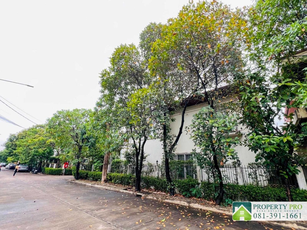 ขายบ้านนวมินทร์ รามอินทรา : ขาย บ้านแมกไม้ เพิ่มสิน ออเงิน วัชรพล บ้านเดี่ยว 2 ชั้น หลังมุม แบบ 2 ห้องนอน 75 ตรว 250 ตรม ใกล้ บิ๊กซี สุขาภิบาล 5 ตลาดเพิ่มสิน สายไหม เพลินนารี่ มอลล์ โรงเรียนรัตนโกสินทร์สมโภชบางเขน ทางด่วนฉลองรัช : KT24S-007