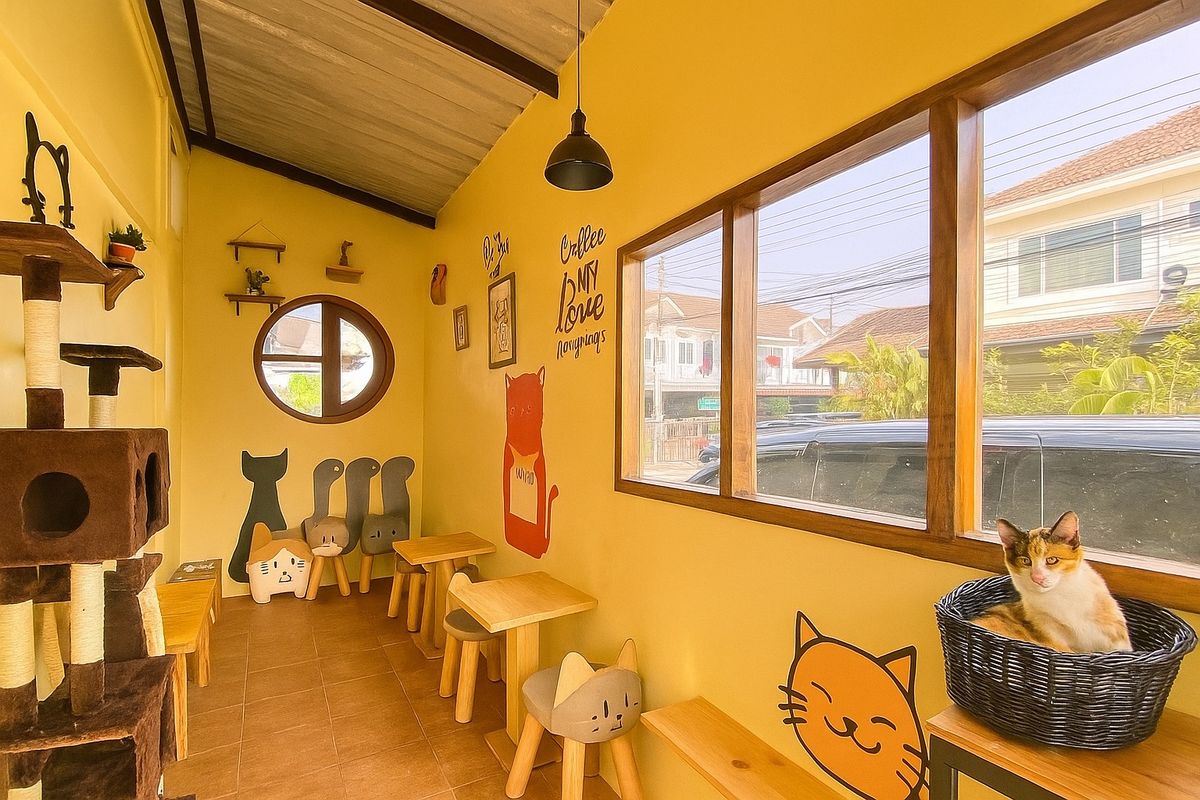 For SaleTownhomePathum Thani,Rangsit, Thammasat : 2 -story townhome behind the corner of the village on the main road. Convenient to travel to receive the renovation.