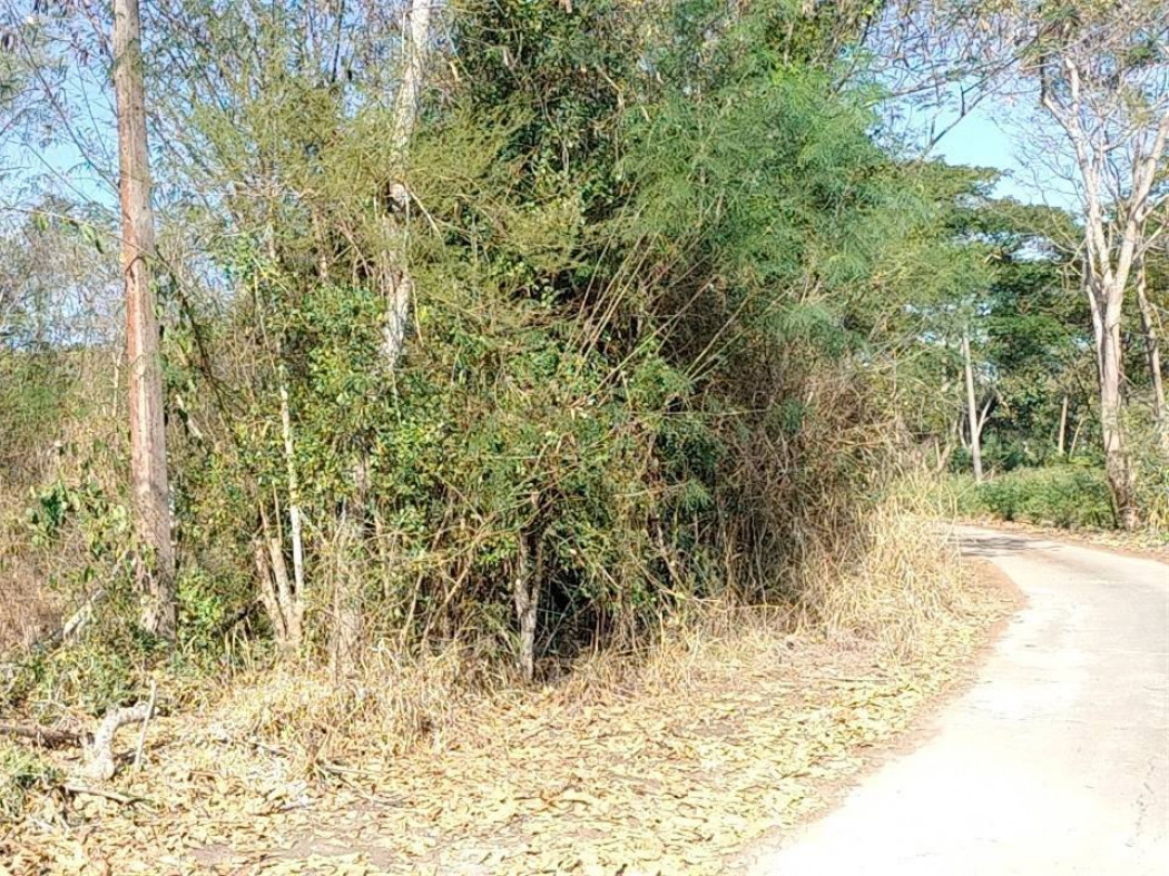 For SaleLandChiang Mai : Empty land for sale, San Kamphaeng, Ban Pa Sao Community, Chiang Mai, 2 rai, 1 ngan, 13 sq m, suitable for building a house.