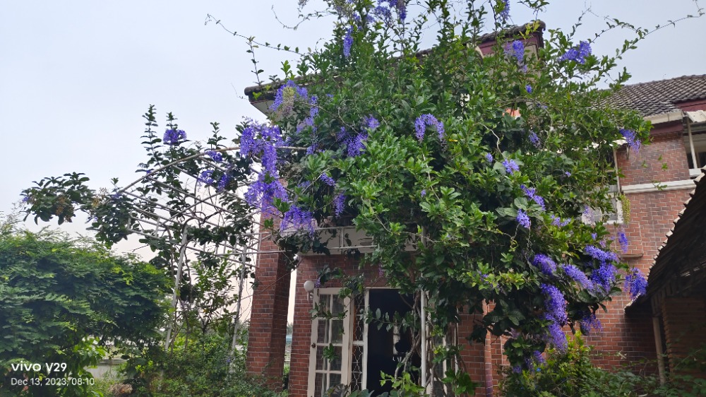 For SaleHouseRama 2, Bang Khun Thian : Beautiful house, Lovely Home Village, Soi Wat Phanthai