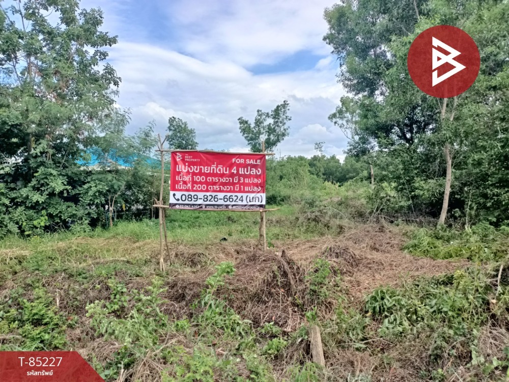 For SaleLandPathum Thani,Rangsit, Thammasat : Empty land for sale Sold in lots Total area 500 square meters, Khlong Hok, Pathum Thani Province.