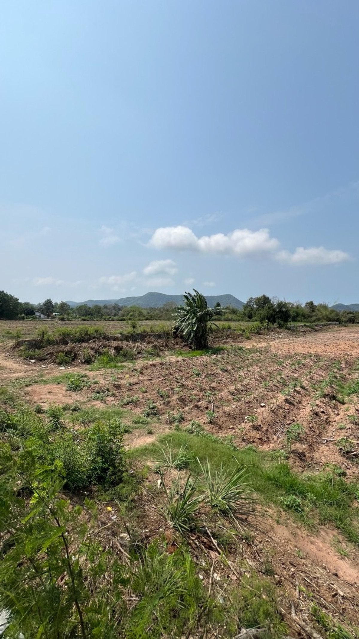 ขายที่ดินพัทยา บางแสน ชลบุรี สัตหีบ : ขายที่ดินทำเลทอง ราคาดีที่สุดในบางเสร่!!