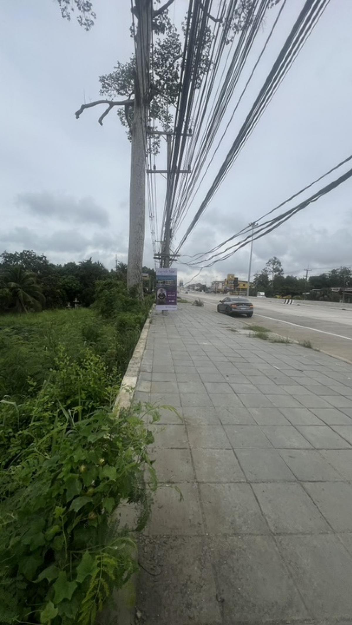 ขายที่ดินพัทยา บางแสน ชลบุรี สัตหีบ : ขายที่ดินทำเลทอง ราคาดีที่สุดในบางเสร่!!