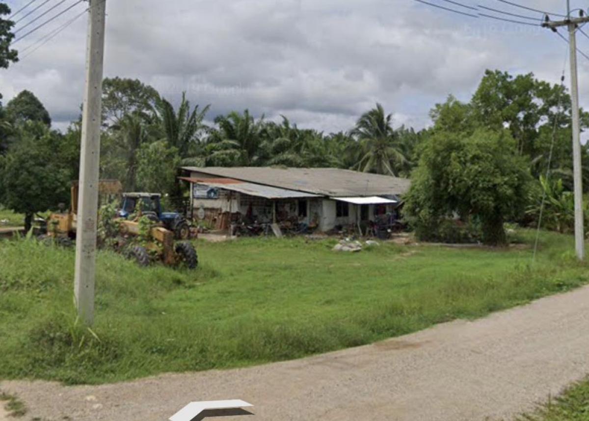 For SaleLandChumphon : Land for sale, size 115 sq.w., Ta Sae Market, opposite PTT gas station, corner plot