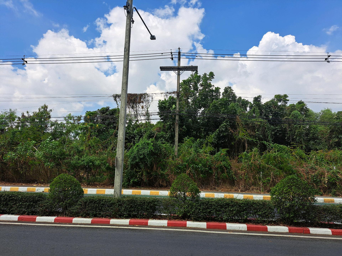 ขายที่ดินปทุมธานี รังสิต ธรรมศาสตร์ : ขายที่ดินติดถนน คลอง 3 ธัญบุรี ใกล้ดรีมเวิลด์