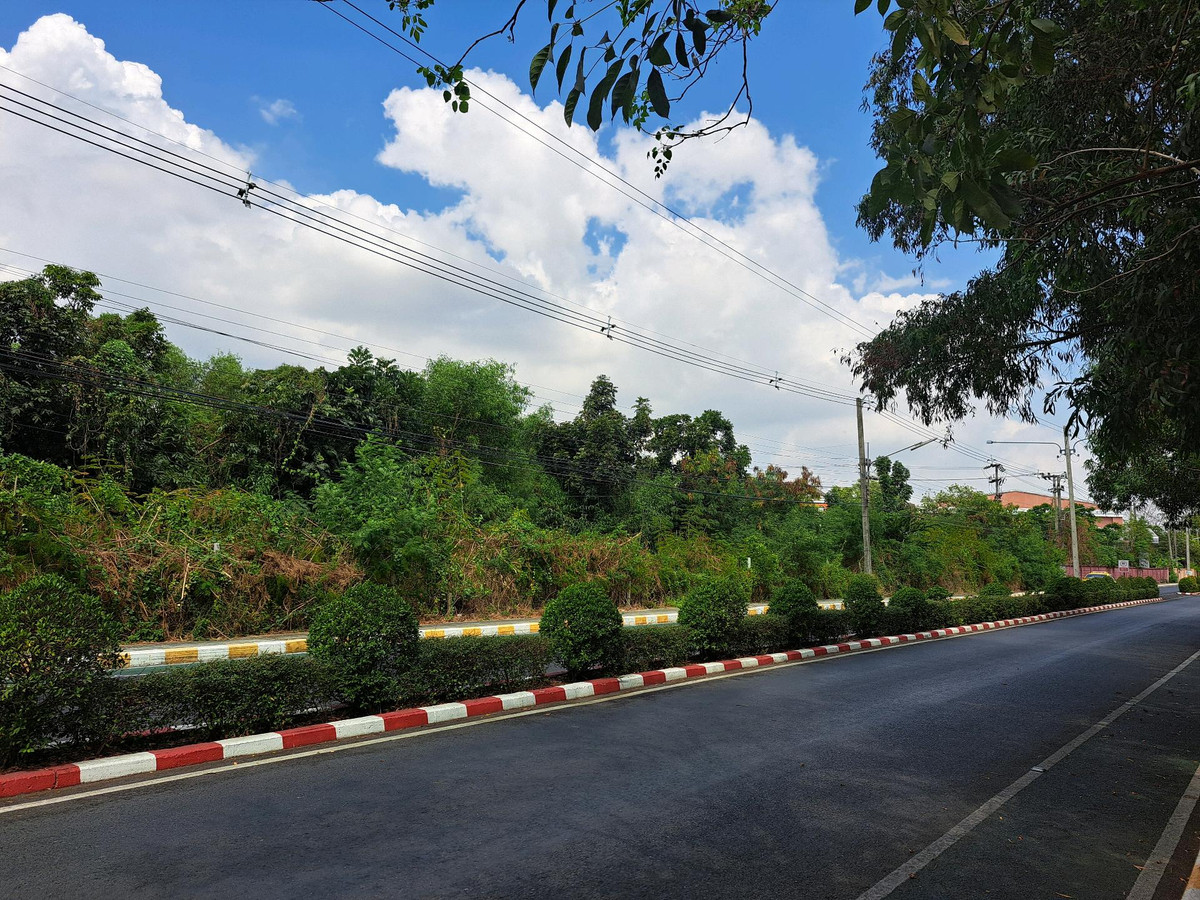 ขายที่ดินปทุมธานี รังสิต ธรรมศาสตร์ : ขายที่ดินติดถนน คลอง 3 ธัญบุรี ใกล้ดรีมเวิลด์