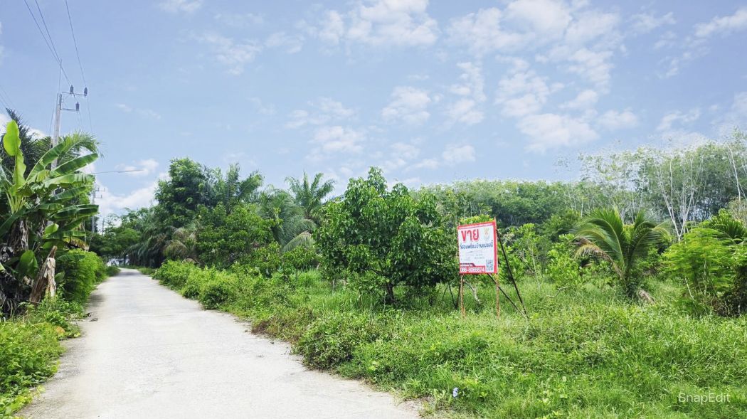 ขายที่ดินนครศรีธรรมราช : ขาย ที่ดิน ทำบ้านสวน อ.พรหมคีรีที่ดิน 5 ไร่ 2 งาน 80.6 ตร.วา มีบ้าน เงาะ มังคุด มะนาว บ่อบาดาล2จุด