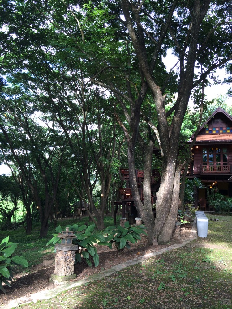 ขายที่ดินแม่ฮ่องสอน : ขายบ้านไม้สัก 3นอน3น้ำ พร้อมที่ดิน 2-3-85 ไร่ ติดถนนใหญ่ อ.ปาย แม่ฮ่องสอน เหมาะทำรีสอร์ท บ้านพักตากอากาศ คาเฟ่