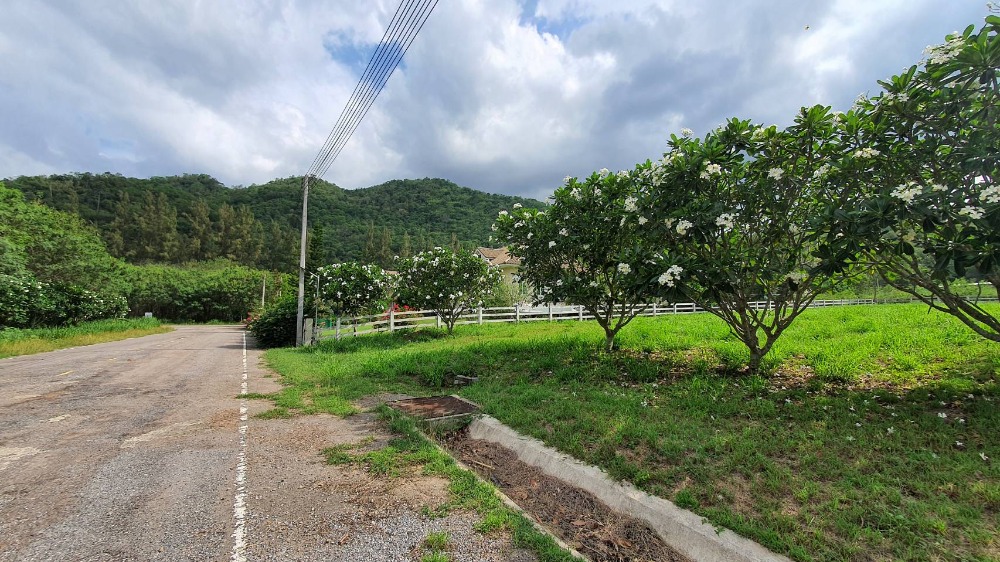 ขายคอนโดปากช่อง เขาใหญ่ : ขายคอนโด แคลิฟอร์เนียพาร์ค เขาใหญ่  (California park เขาใหญ่) 75 ตรม. ตกแต่งพร้อมอยู่