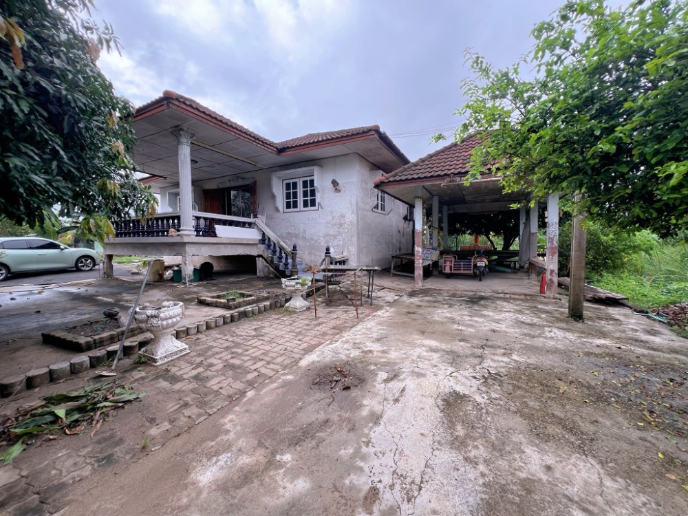 ขายบ้านปทุมธานี รังสิต ธรรมศาสตร์ : ขายถูกมาก !! บ้านพร้อมที่ดิน 2 หลัง ซอยตะวันออก 60 เลียบคลอง 6 ขนาดพื้นที่ใช้สอย 240 ตรม.พื้นที่ดิน 229 ตร.ว เหมาะแก่การพักอาศัย เชื่อมต่อ ถ.รังสิต-นครนายก ถ.เลียบคลองหก