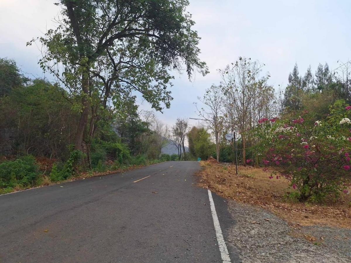 ขายบ้านสระบุรี : 📢👇ขายบ้านพร้อมสระว่ายน้ำในที่ดิน 4 ไร่ สระบุรี ไม่ไกลจากกรุงเทพ  จากฟิวเจอร์พาร์ครังสิต ระยะทางประมาณ 120 กิโลเมตร อากาศดี ราคาดี  ด้านหลังเป็นสวนผลไม้ ทั้งมะขามเทศ ลำไย ส้มโอ น้อยหน่า มะม่วง เอกสารสิทธิ์โฉนดครุฑแดง