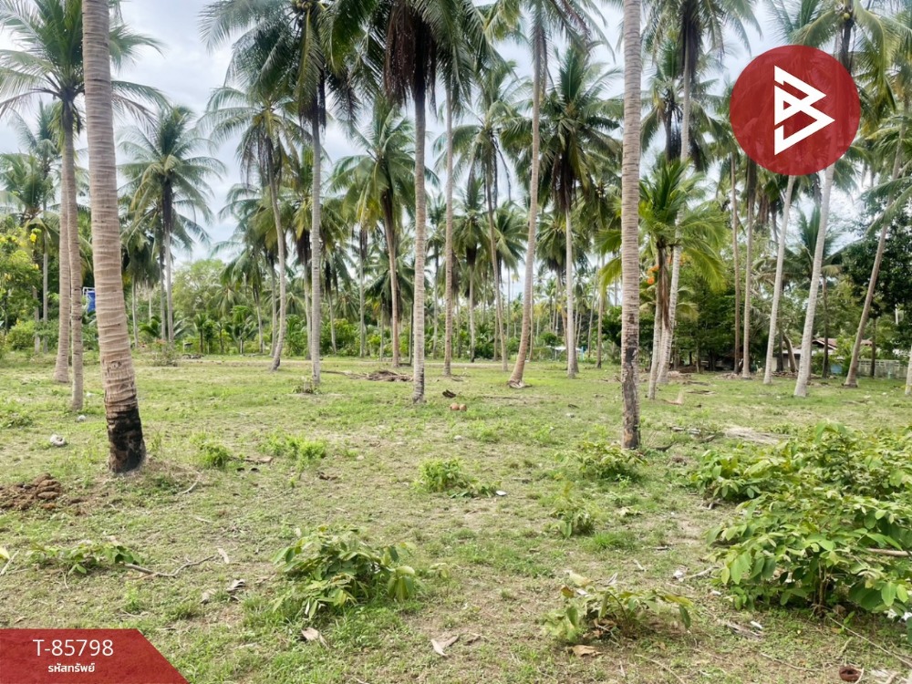 For SaleLandHuahin, Prachuap Khiri Khan, Pran Buri : Empty land for sale, area 70.5 square meters, Bang Saphan Noi, Prachuap Khiri Khan.