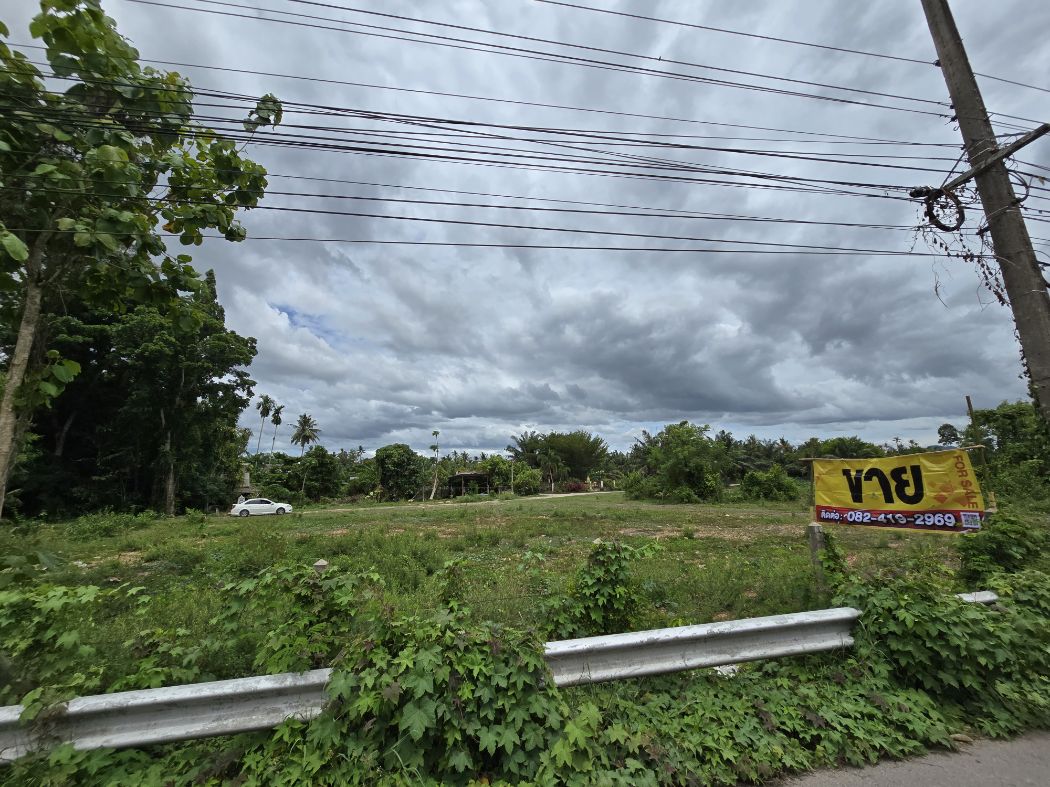 ขายที่ดินชุมพร : ขาย ที่ดิน ขายที่ดินใกล้แม่น้ำท่าตะเภาขาย 1 ไร่ 1 งาน 23 ตร.วา