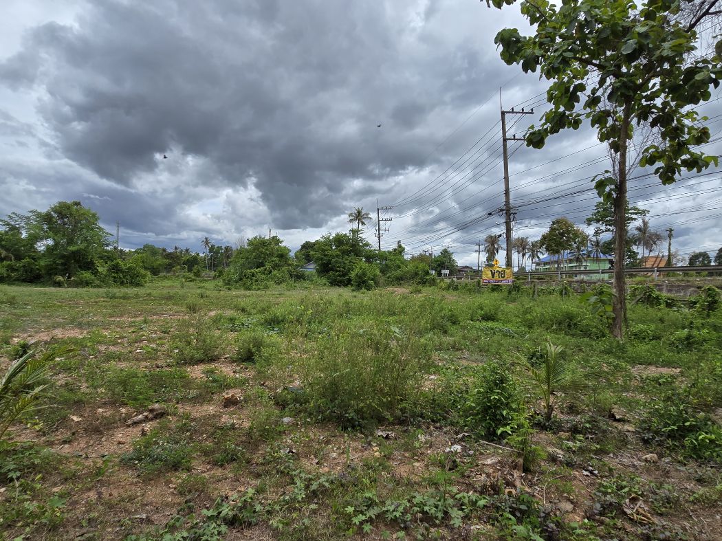 ขายที่ดินชุมพร : ขาย ที่ดิน ขายที่ดินใกล้แม่น้ำท่าตะเภาขาย 1 ไร่ 1 งาน 23 ตร.วา