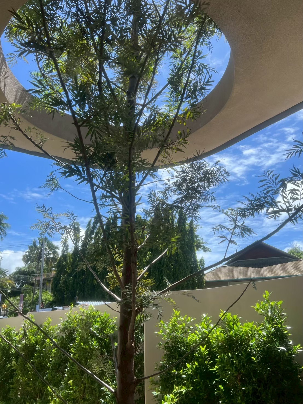 For SaleHousePhuket : New project off plan sales 7 luxury pool villa in Nai Harn, Rawai Phuket.