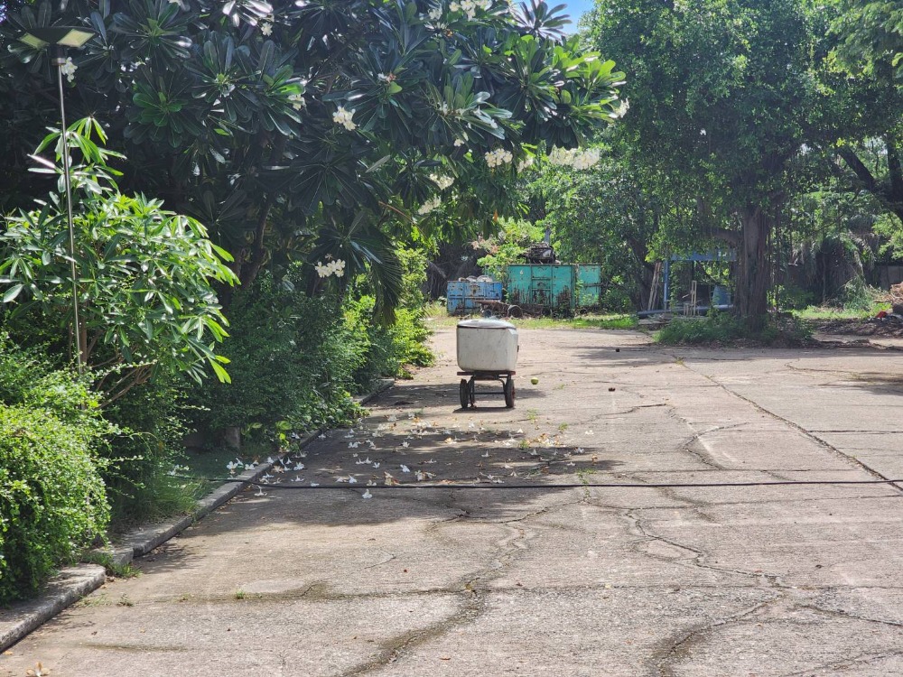 For SaleLandSamut Prakan,Samrong : Land for sale, 4 rai, Theparak Road, only 100 meters into the alley, 9 meters wide road (red map)