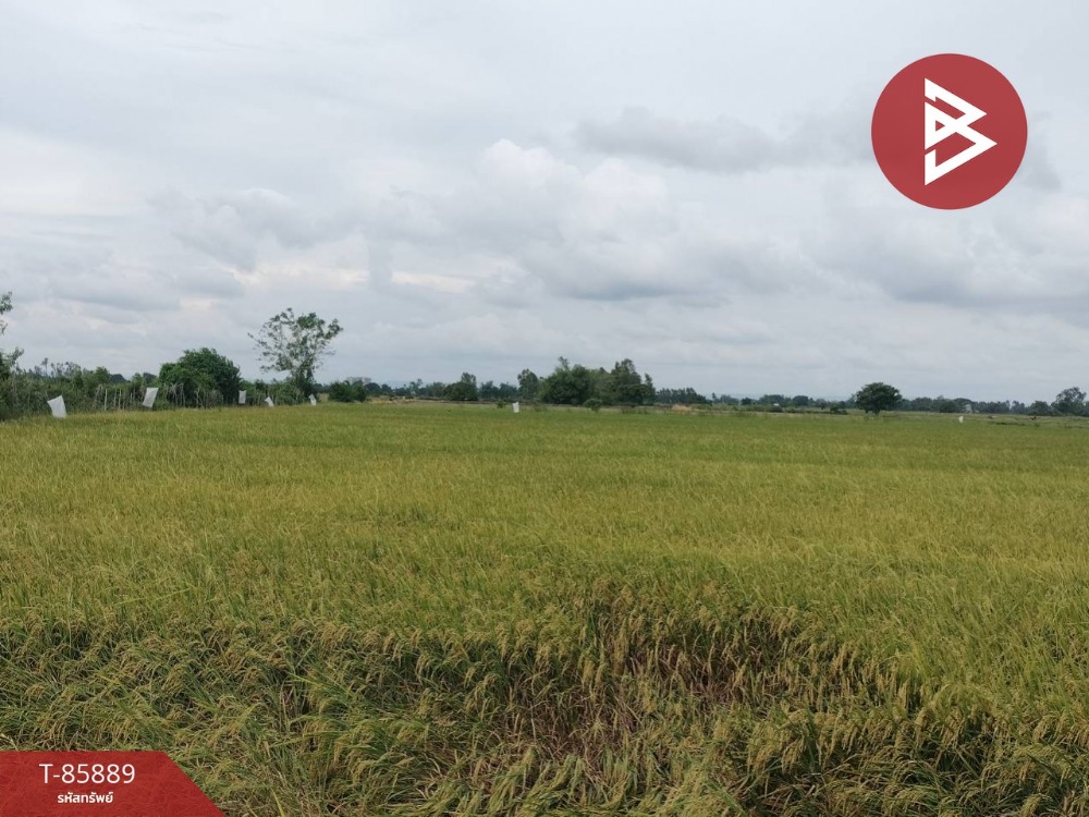 For SaleLandPhitsanulok : Empty land for sale, area 9 rai 1 ngan 18.6 square wah, Tha Pho, Phitsanulok.