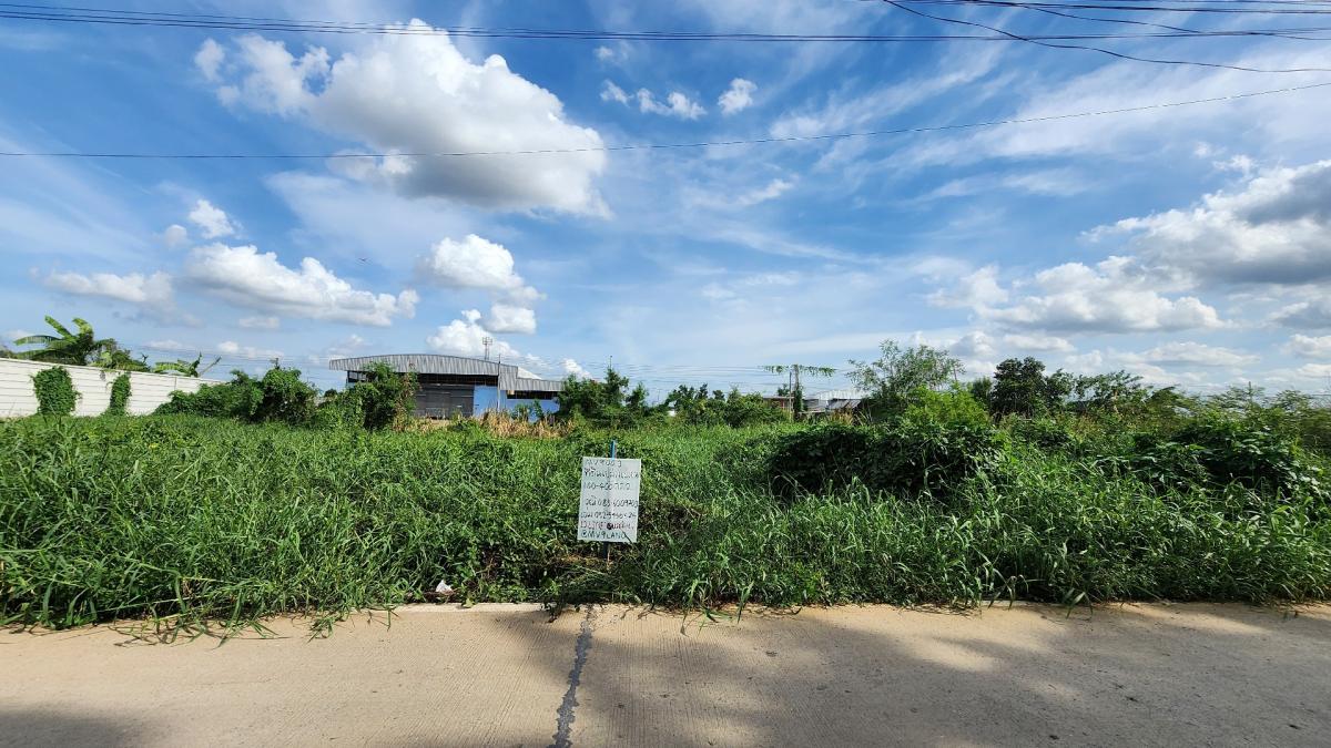 For SaleLandPathum Thani,Rangsit, Thammasat : Land for sale, divided into plots of 100-400 sq m, Soi Khlong Sam 5/5, Khlong Luang Subdistrict, Pathum Thani Province
