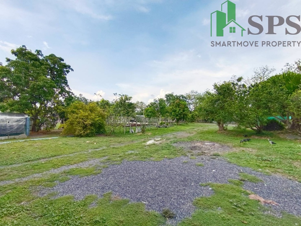 ขายบ้านนครนายก : ขายบ้านเดี่ยวพร้อมที่ดิน เนื้อที่ 3 ไร่ 1 งาน 57 ตารางวา  อำเภอบ้านนา จังหวัดนครนายก (SPS-PP51)