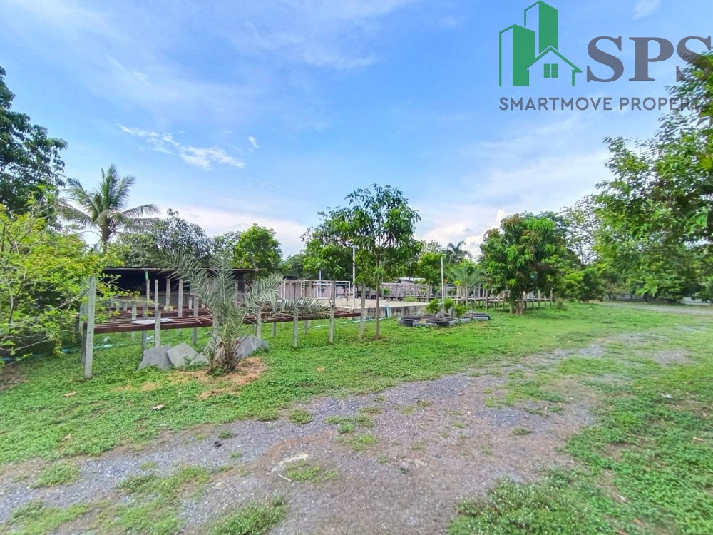 ขายบ้านนครนายก : ขายบ้านเดี่ยวพร้อมที่ดิน เนื้อที่ 3 ไร่ 1 งาน 57 ตารางวา  อำเภอบ้านนา จังหวัดนครนายก (SPS-PP51)