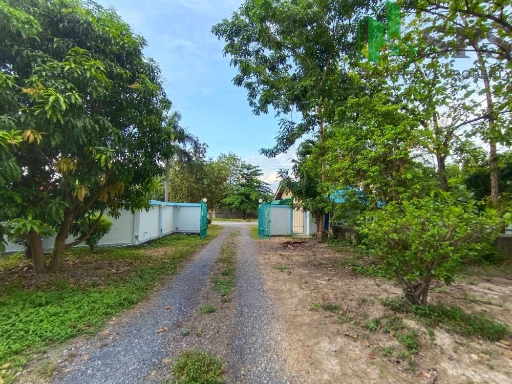 ขายบ้านนครนายก : ขายบ้านเดี่ยวพร้อมที่ดิน เนื้อที่ 3 ไร่ 1 งาน 57 ตารางวา  อำเภอบ้านนา จังหวัดนครนายก (SPS-PP51)