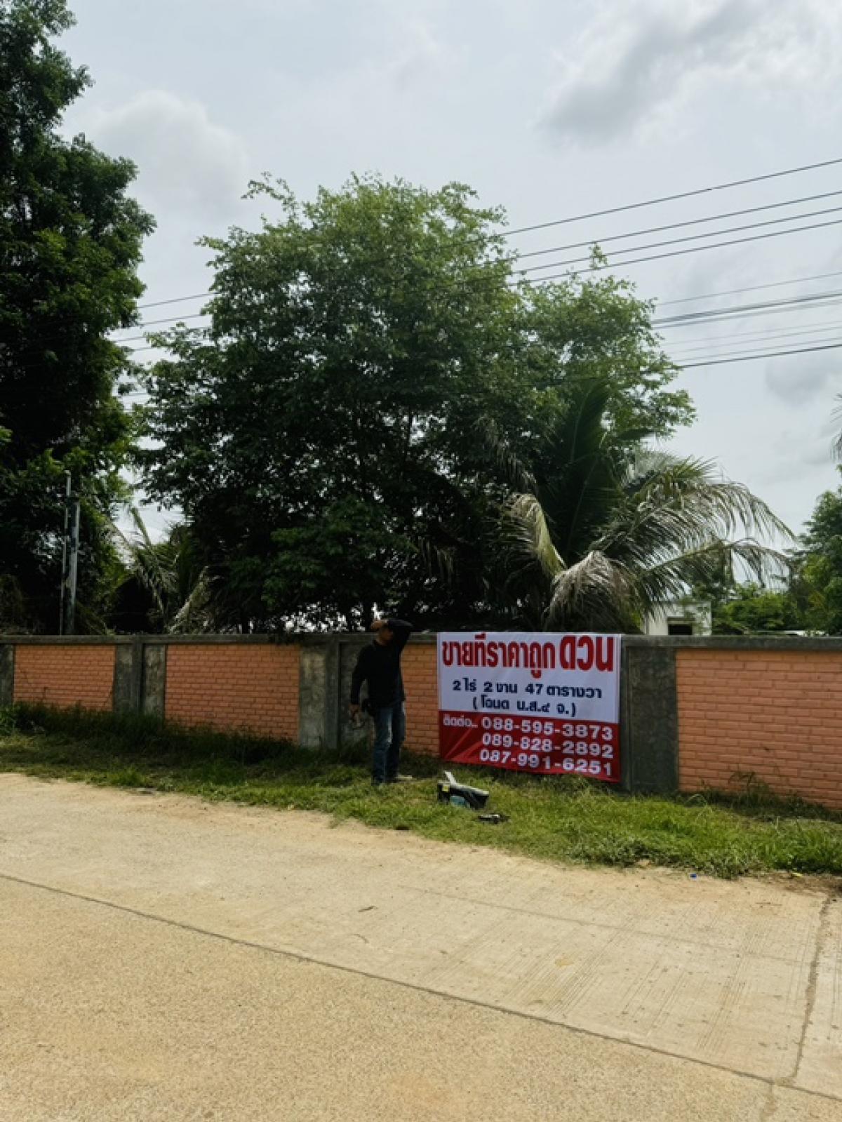 ขายที่ดินโคราช นครราชสีมา : ที่ดินลดราคาถูกมาก ใกล้โรงเรียนวัดสว่างอารมณ์ ต.โคกสูง จ.นครราชสีมา