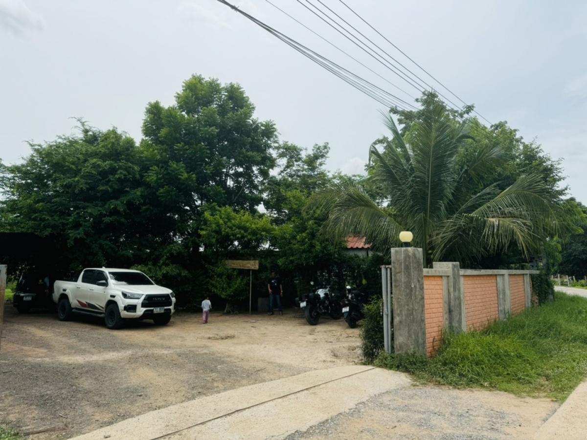 ขายที่ดินโคราช นครราชสีมา : ที่ดินลดราคาถูกมาก ใกล้โรงเรียนวัดสว่างอารมณ์ ต.โคกสูง จ.นครราชสีมา