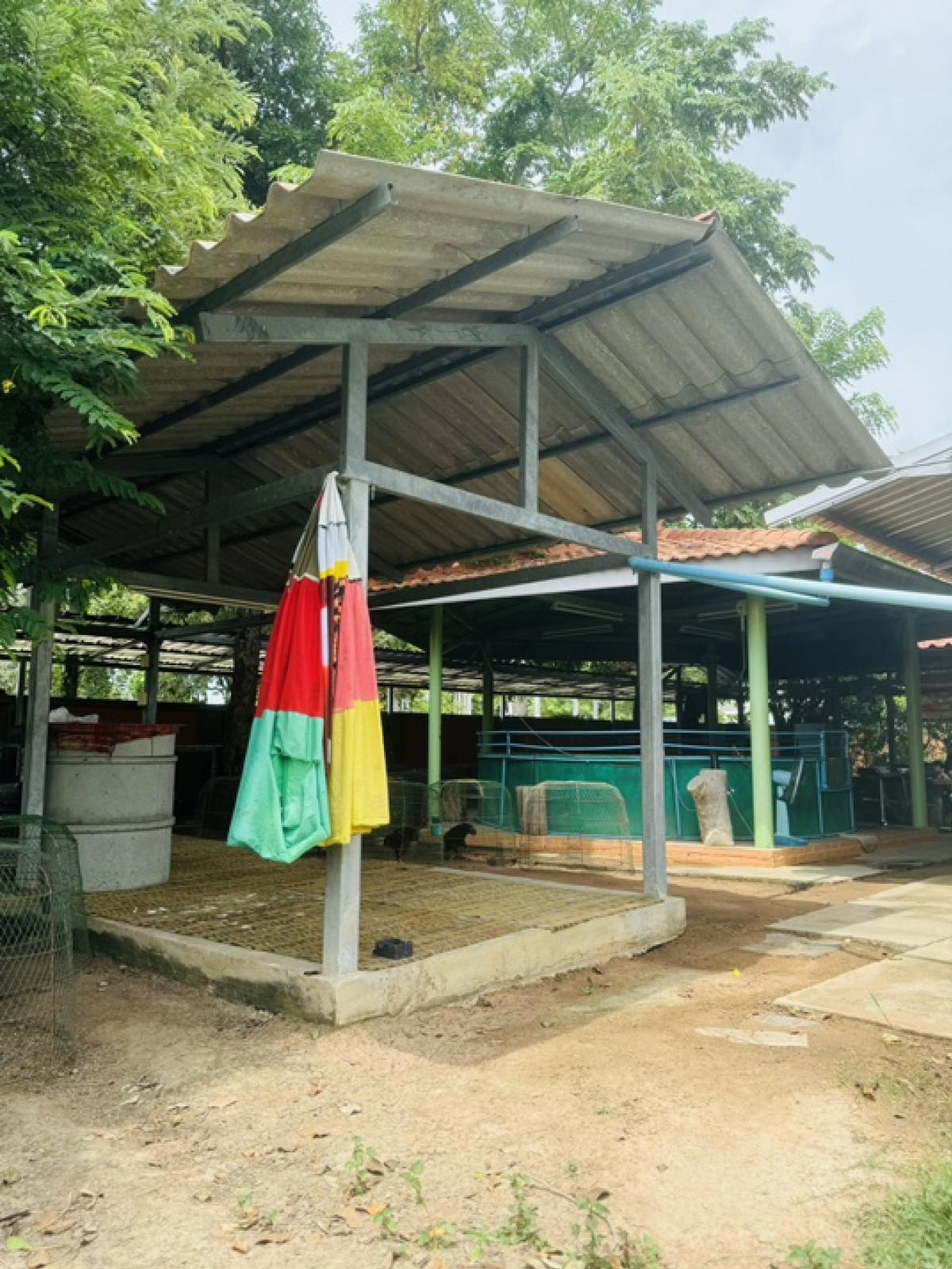 ขายที่ดินโคราช นครราชสีมา : ที่ดินลดราคาถูกมาก ใกล้โรงเรียนวัดสว่างอารมณ์ ต.โคกสูง จ.นครราชสีมา